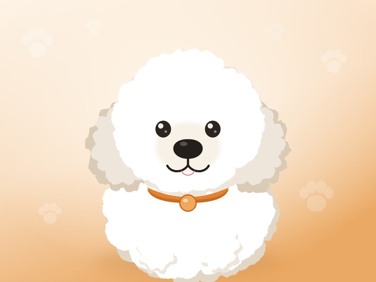 A fluffy white Bichon Frise sitting and smiling