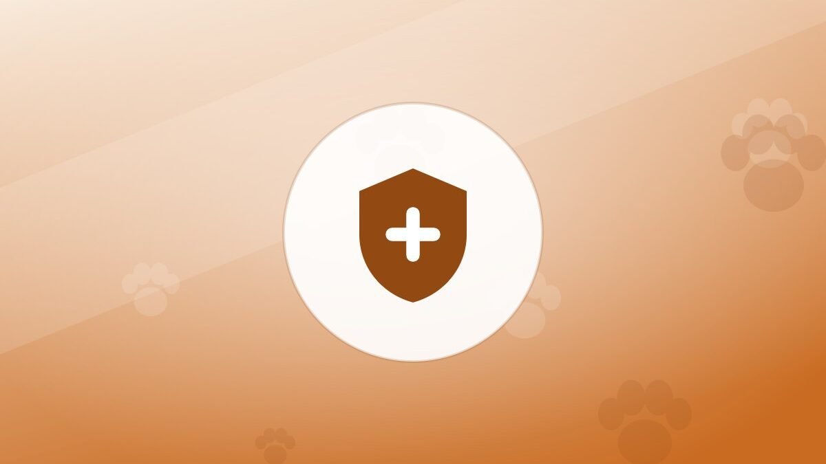 Illustration of a shield on a warm background