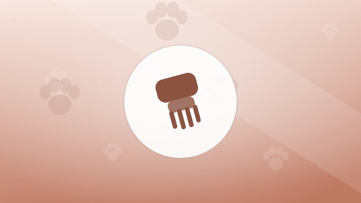 Illustration of a grooming brush on a warm background