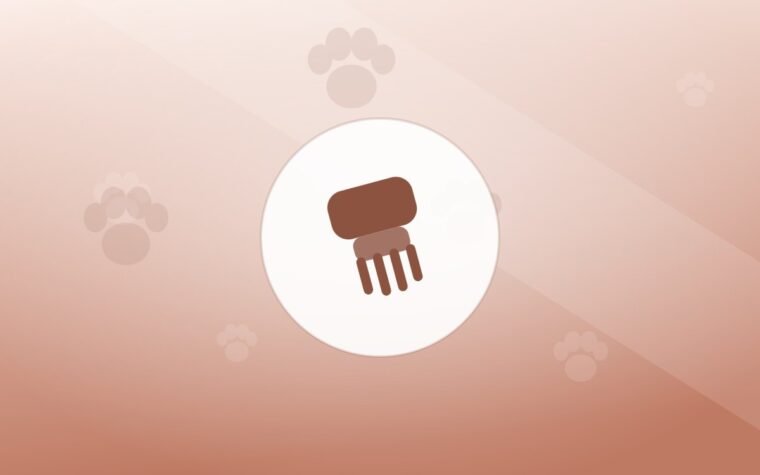 Illustration of a grooming brush on a warm background