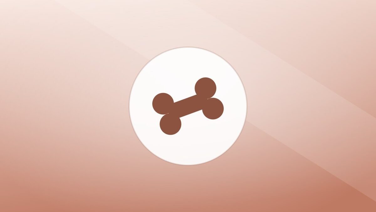 Illustration of a bone on a warm background