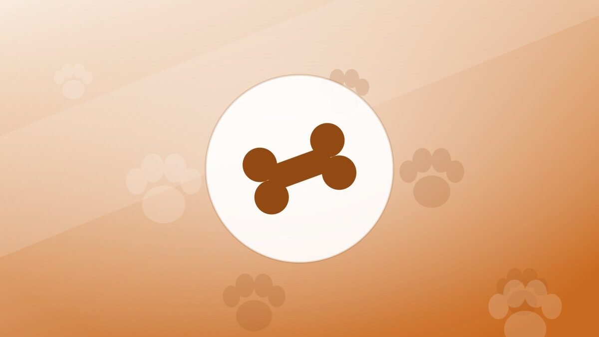 Illustration of a bone on a warm background