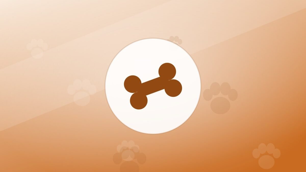 Illustration of a bone on a warm background