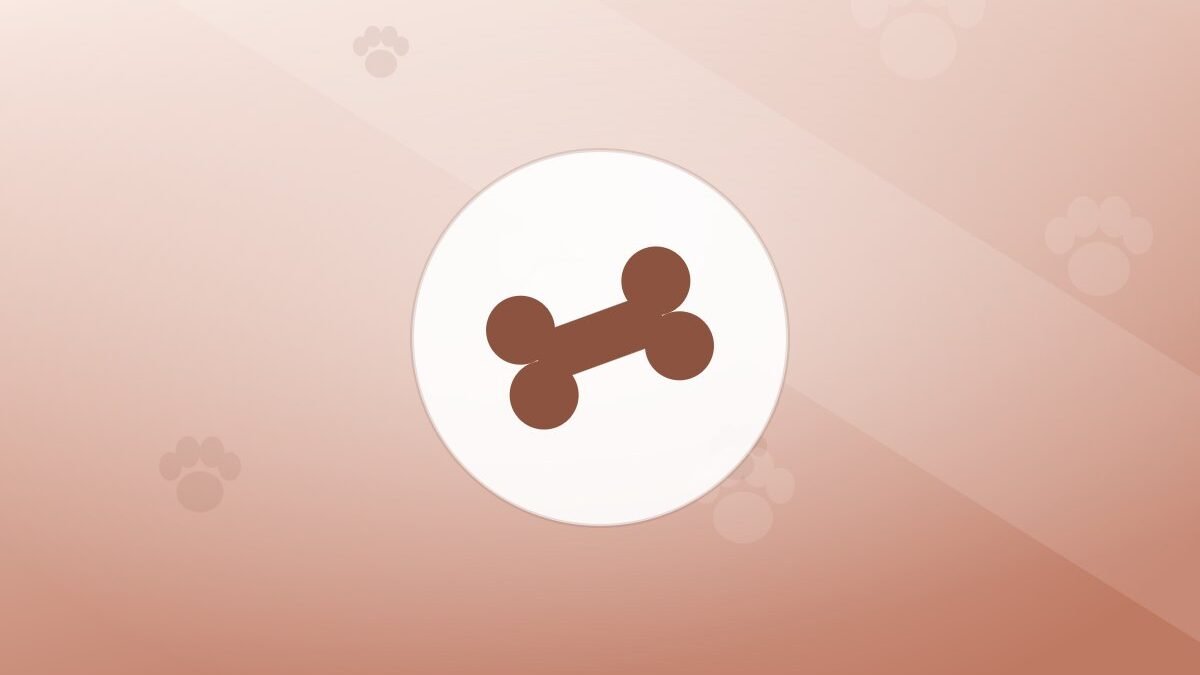 Illustration of a bone on a warm background