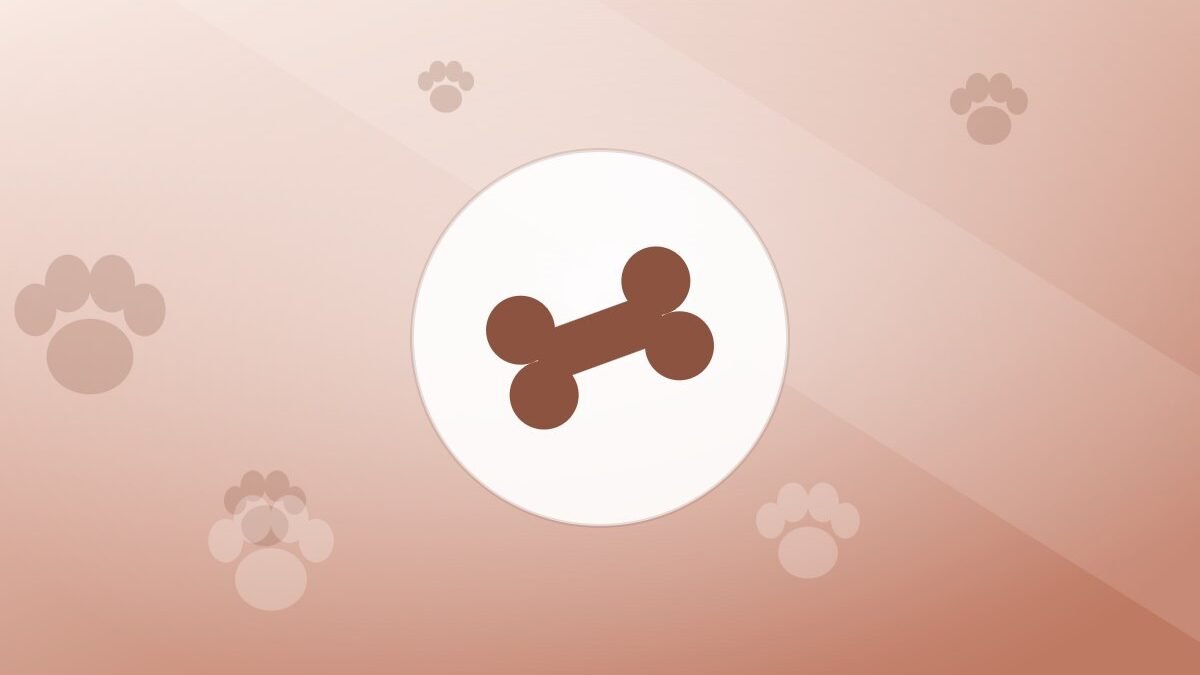 Illustration of a bone on a warm background