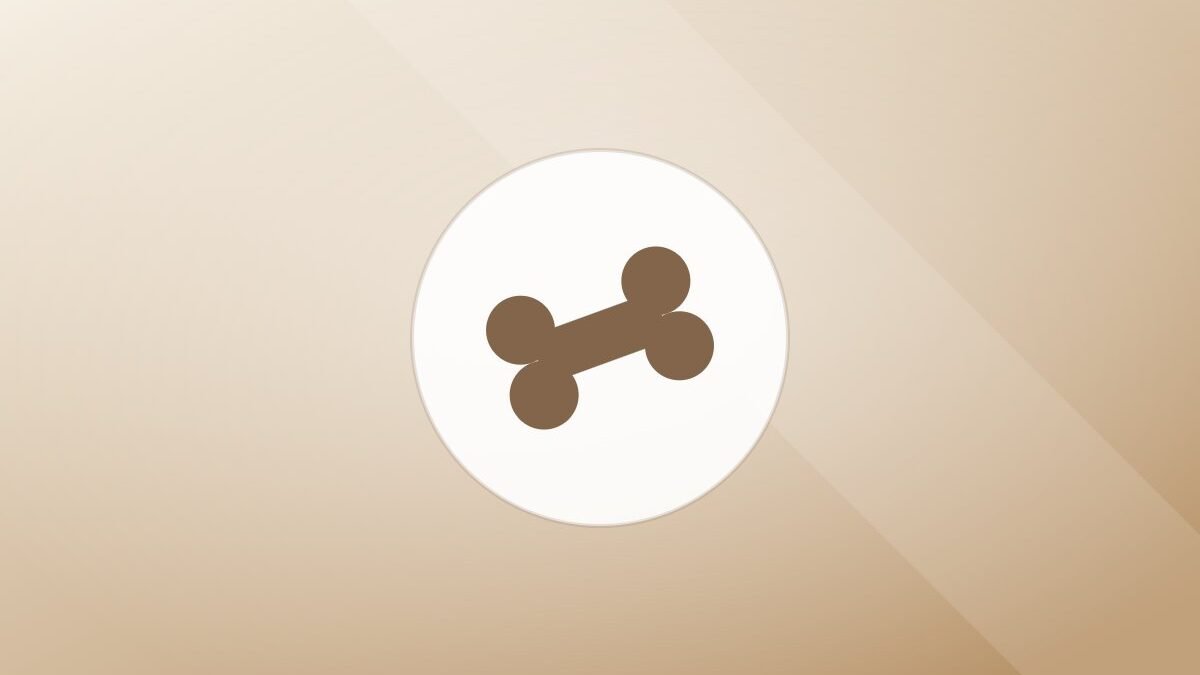 Illustration of a bone on a warm background