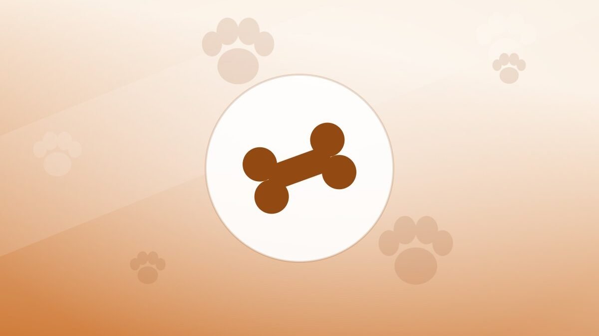Illustration of a bone on a warm background