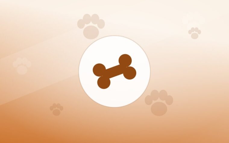 Illustration of a bone on a warm background