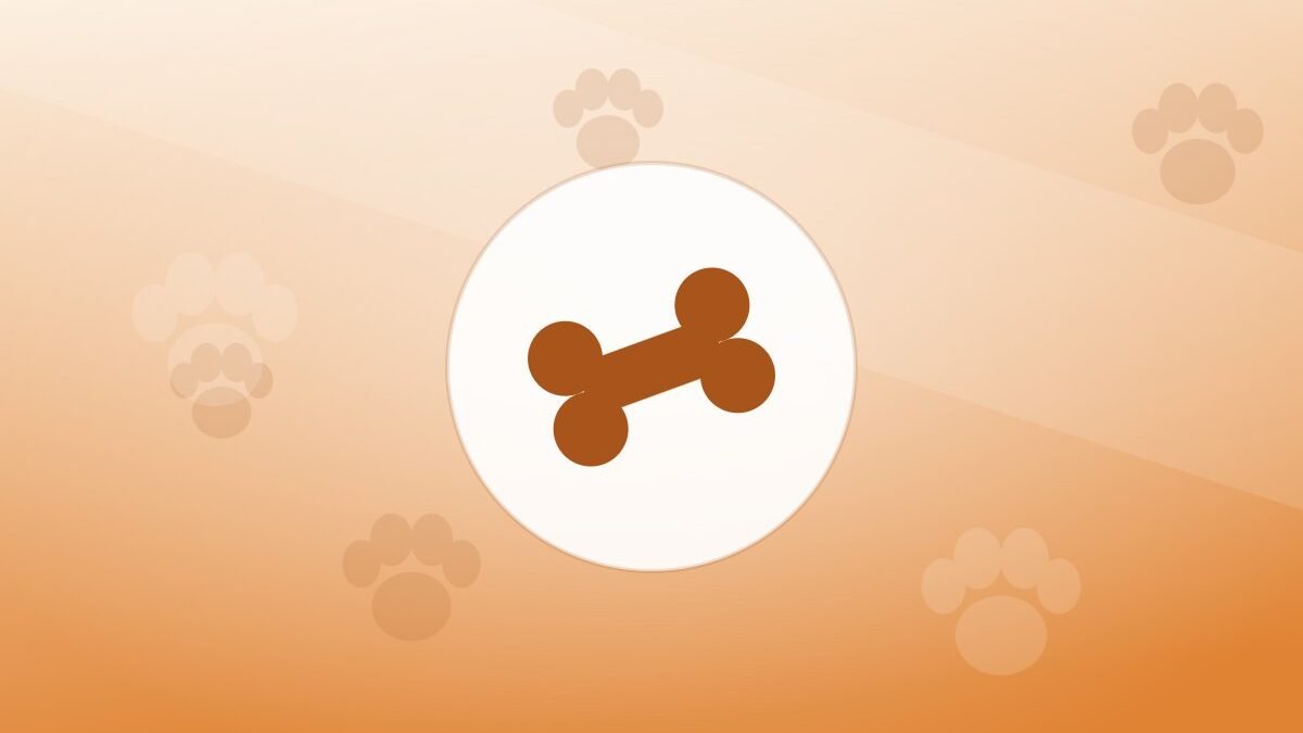 Illustration of a bone on a warm background