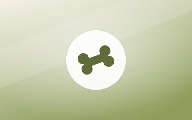 Illustration of a bone on a warm background