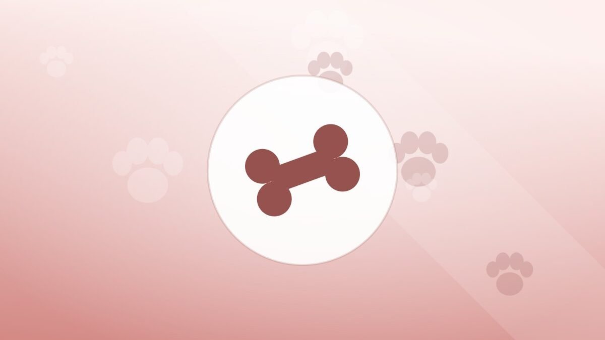 Illustration of a bone on a warm background