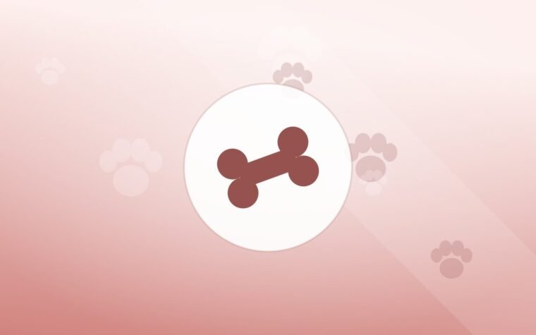 Illustration of a bone on a warm background