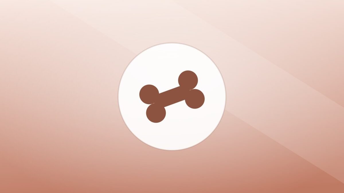 Illustration of a bone on a warm background