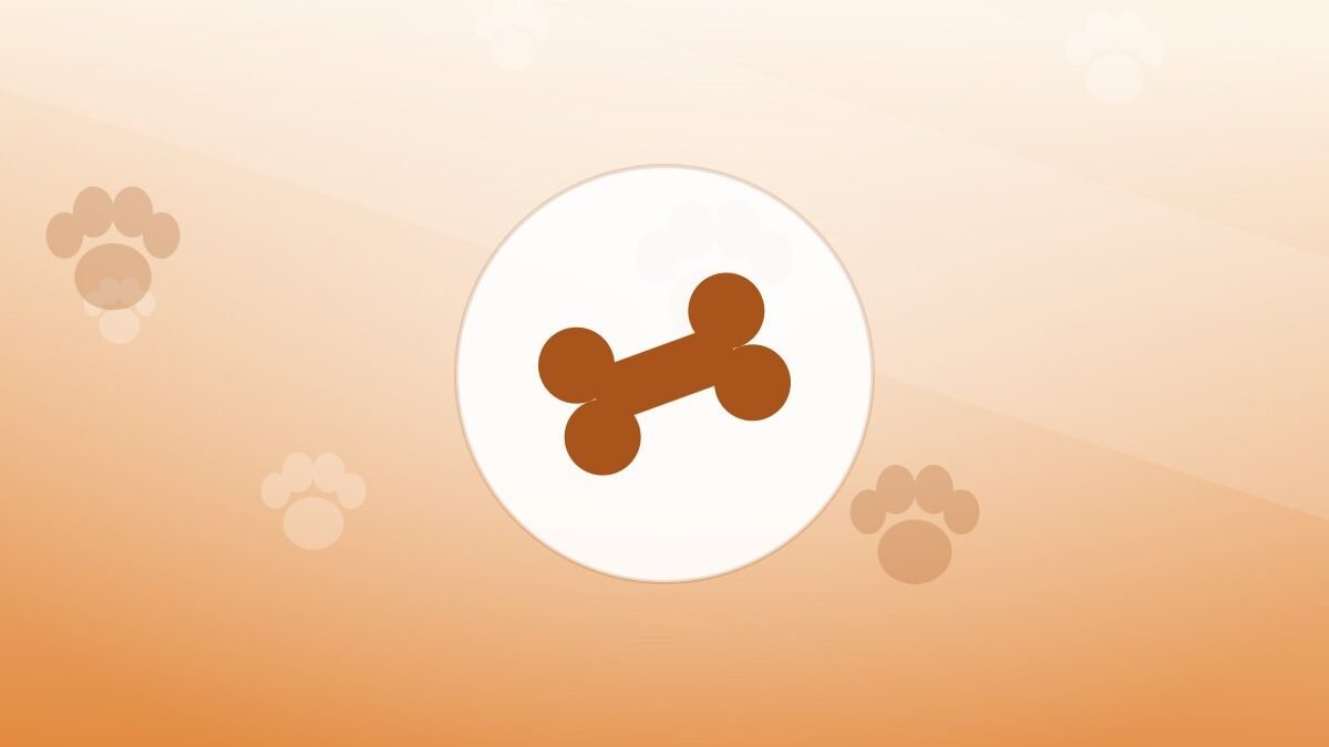 Illustration of a bone on a warm background