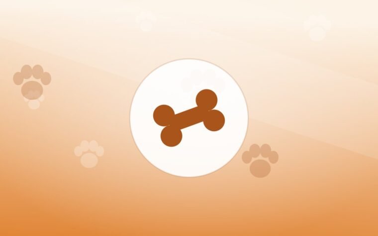 Travel Gear for Dogs: Car, Camping and Days Out