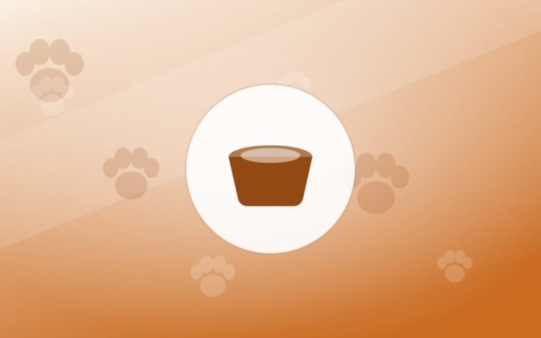 Illustration of a food bowl on a warm background