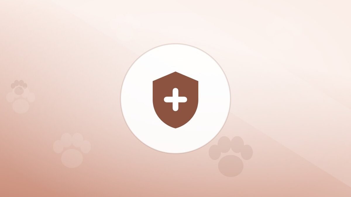 Illustration of a shield on a warm background