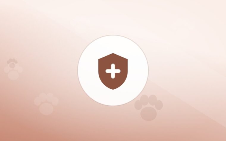 Illustration of a shield on a warm background