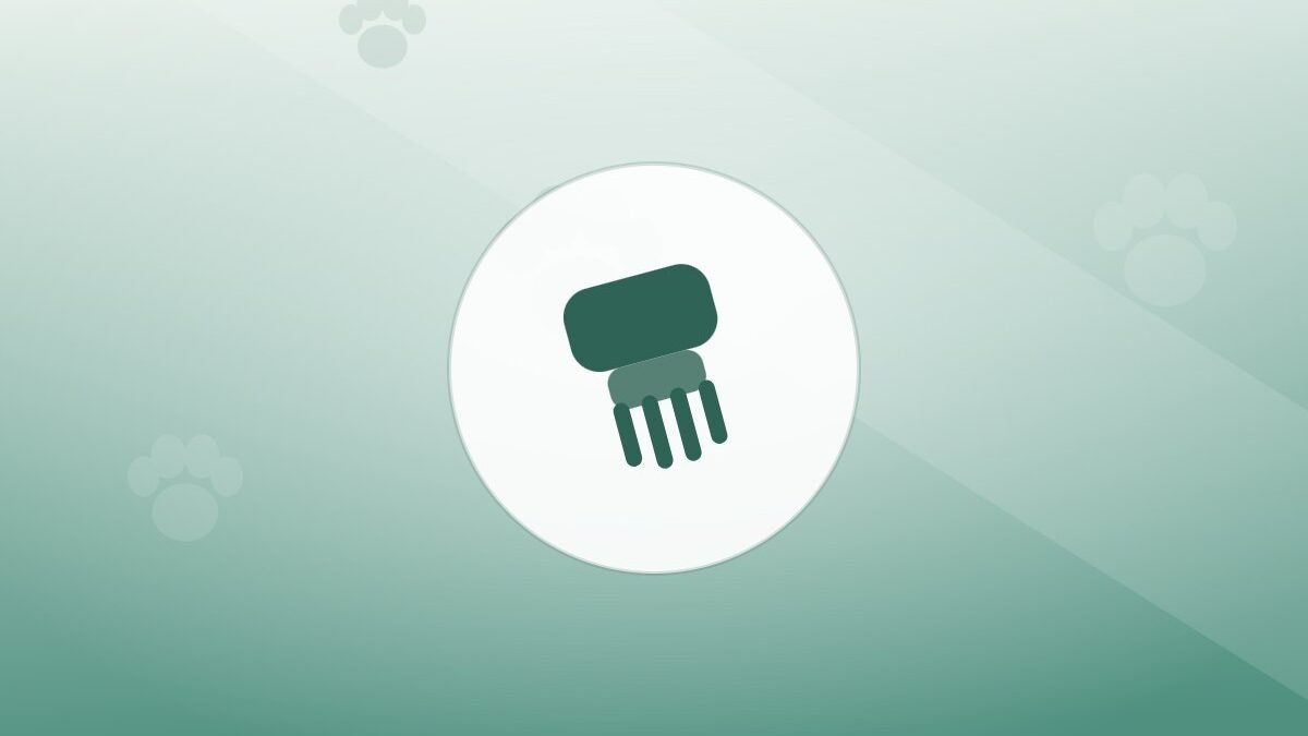 Illustration of a grooming brush on a warm background