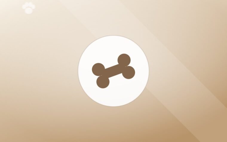 Illustration of a dog bone on a warm background
