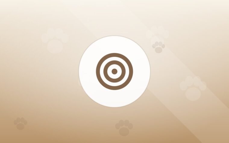 Illustration of a training target on a warm background