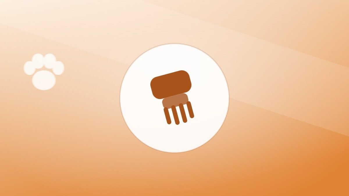 Illustration of a grooming brush on a warm background