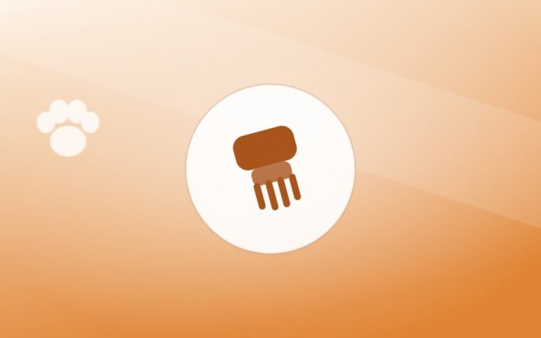 Illustration of a grooming brush on a warm background