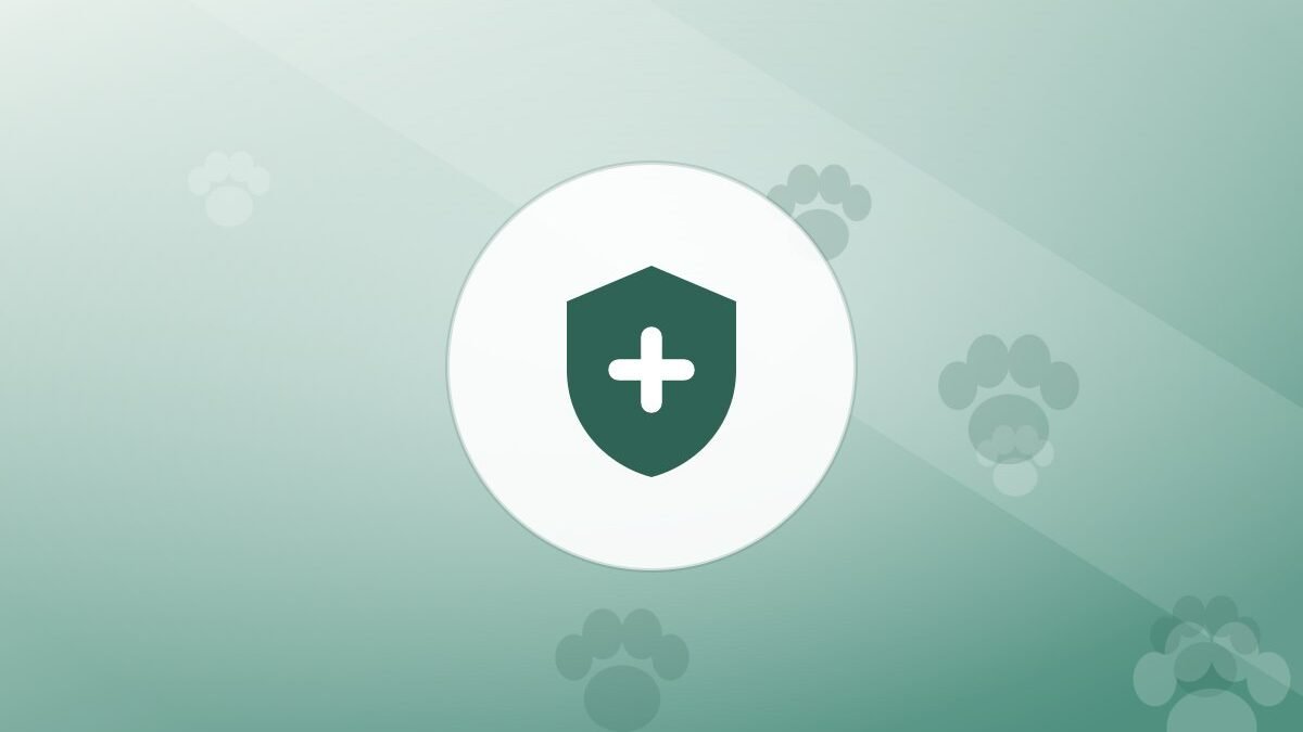 Illustration of a shield on a warm background