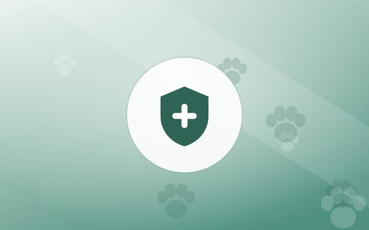 Illustration of a shield on a warm background