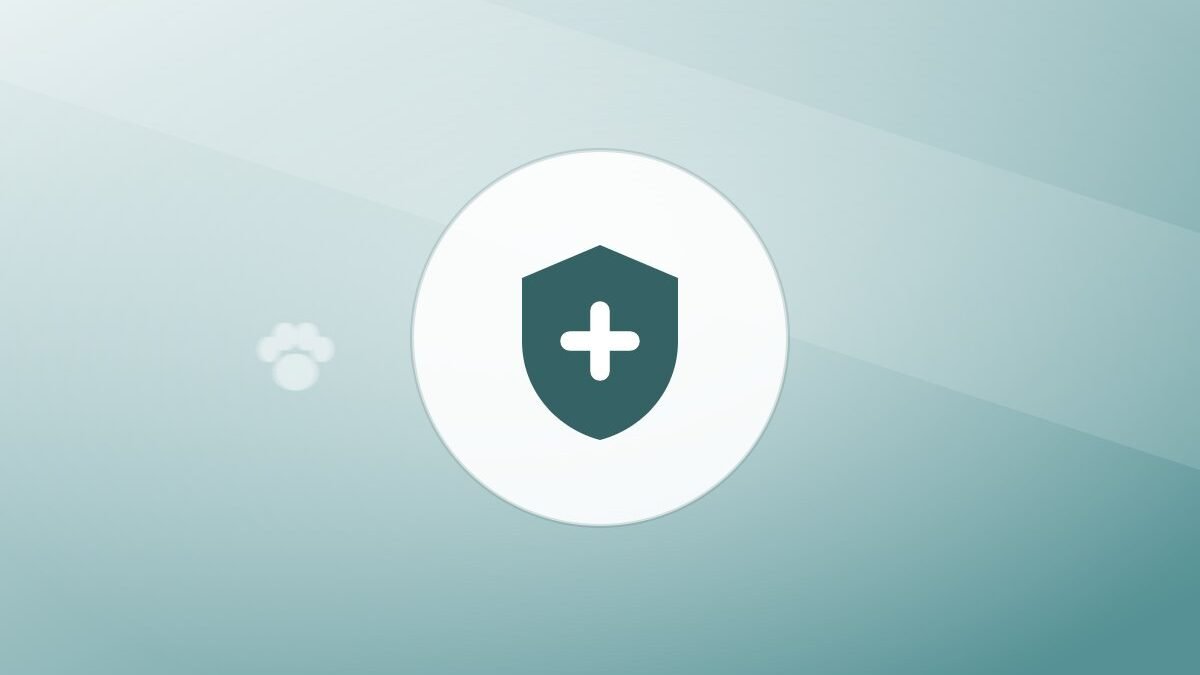 Illustration of a shield on a warm background
