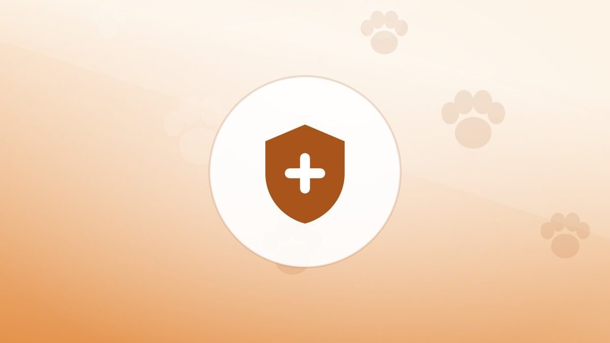 Illustration of a shield on a warm background