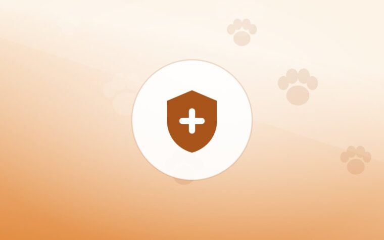 Illustration of a shield on a warm background
