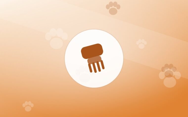 Home Grooming: A Realistic Routine