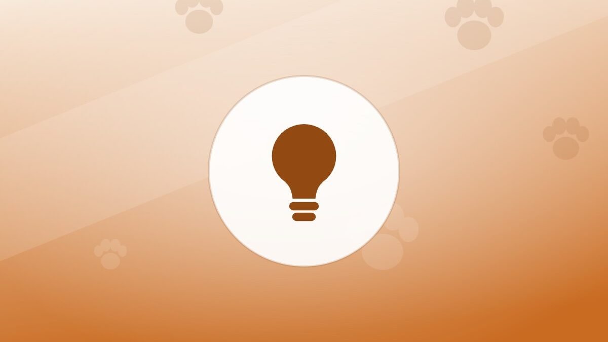 Illustration of a lightbulb on a warm background