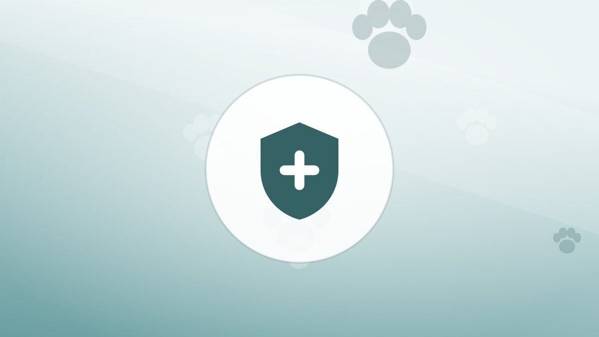 Illustration of a shield on a warm background