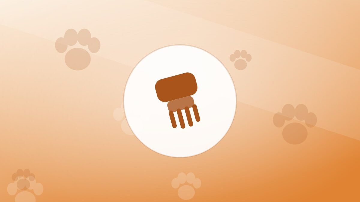 Illustration of a grooming brush on a warm background