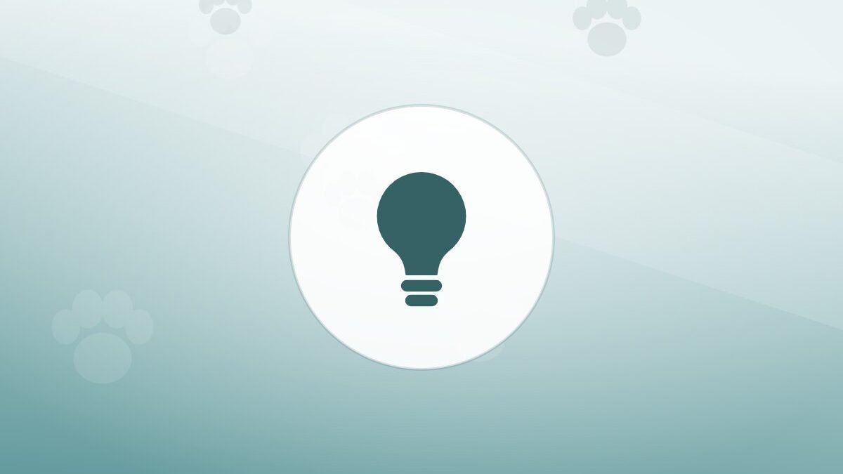 Illustration of a lightbulb on a warm background