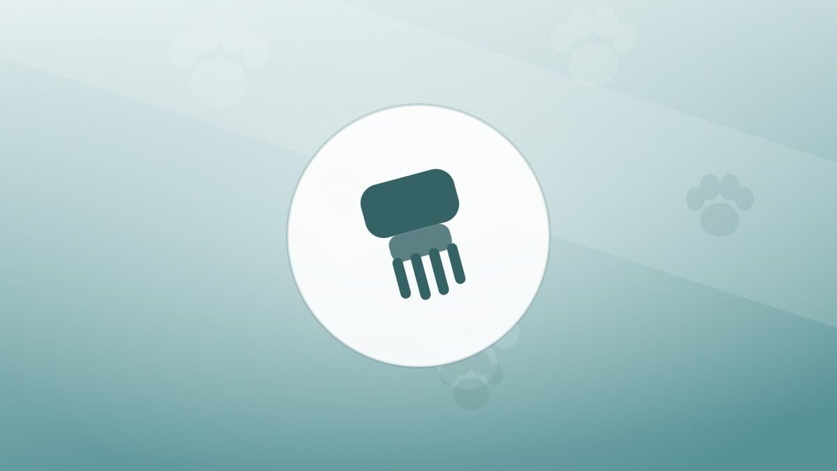 Illustration of a grooming brush on a warm background