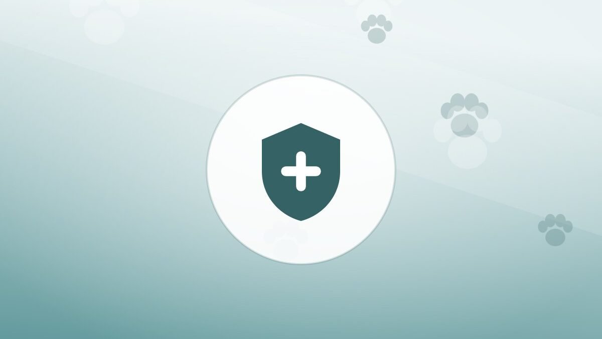 Illustration of a shield on a warm background