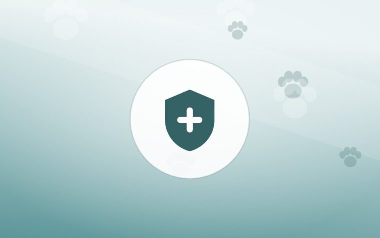 Illustration of a shield on a warm background