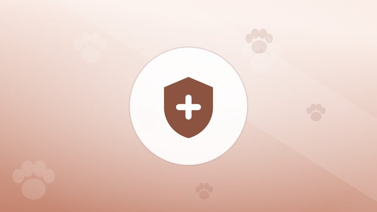 Illustration of a shield on a warm background