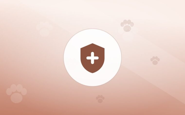 Illustration of a shield on a warm background