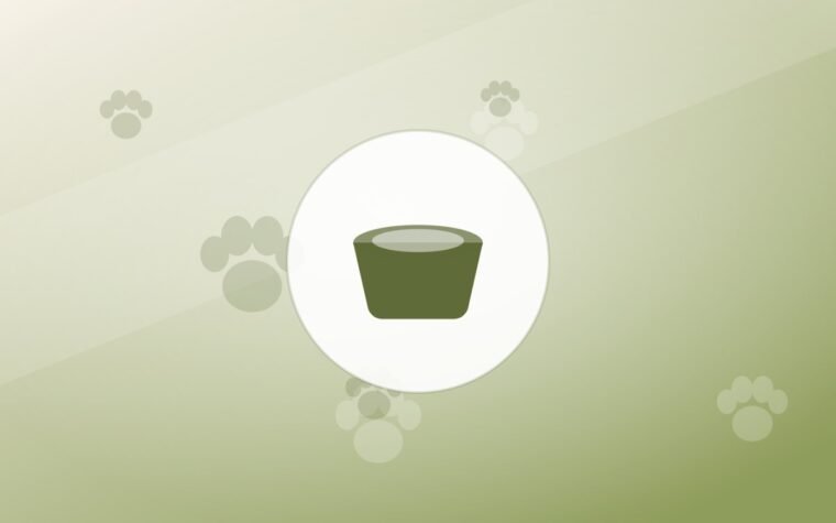 Freeze-Dried and Air-Dried Dog Food: What They Are