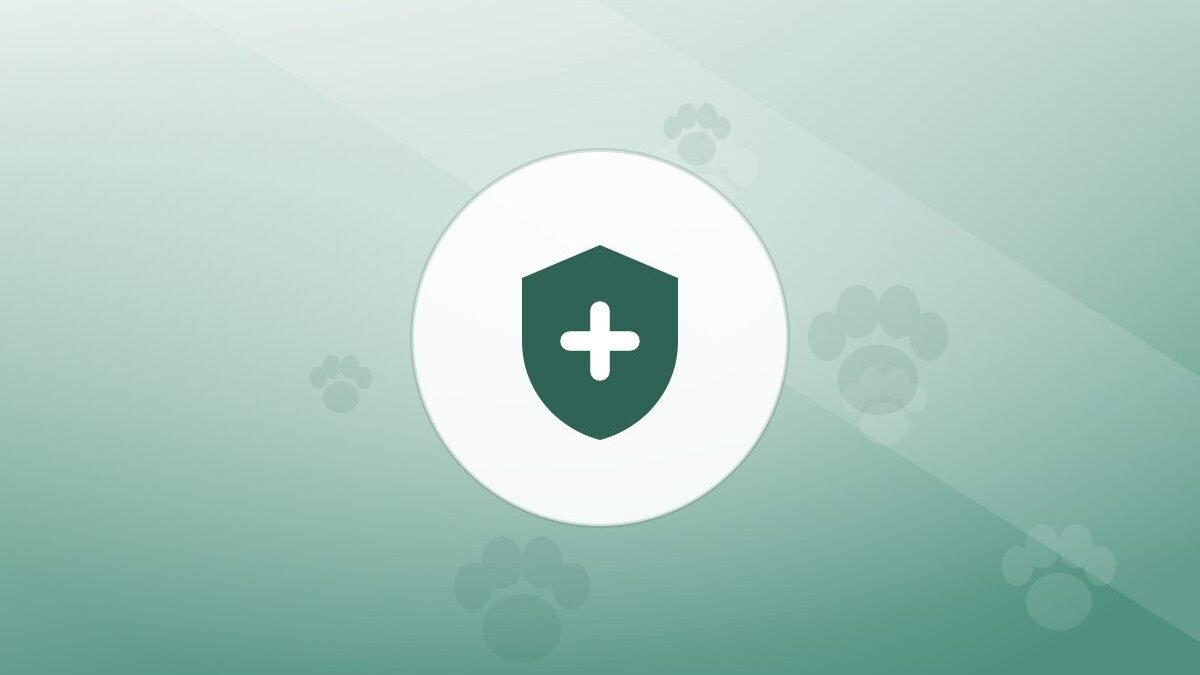 Illustration of a shield on a warm background