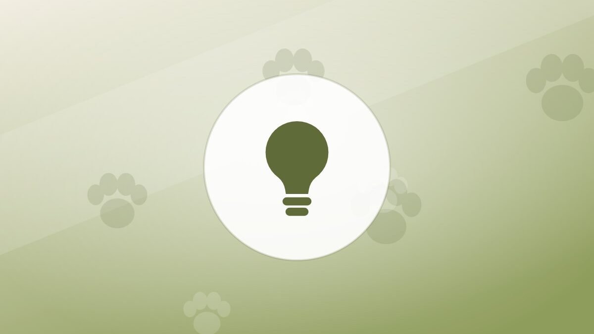 Illustration of a lightbulb on a warm background