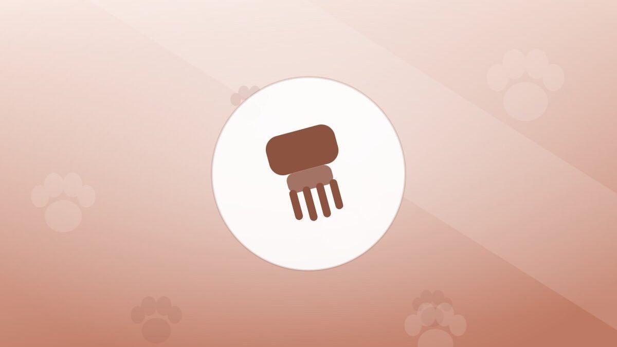 Illustration of a grooming brush on a warm background