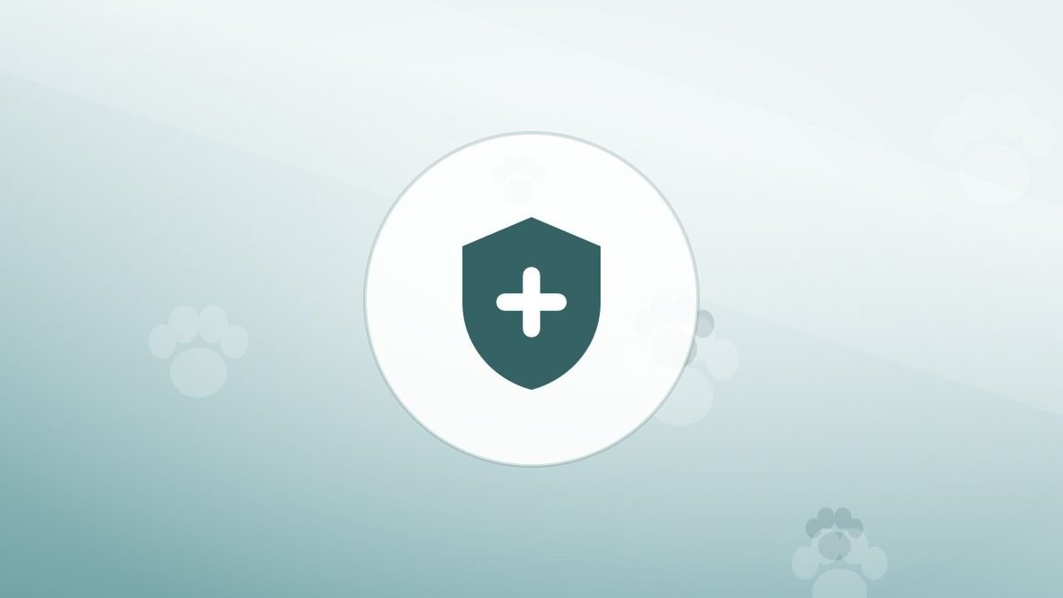Illustration of a shield on a warm background