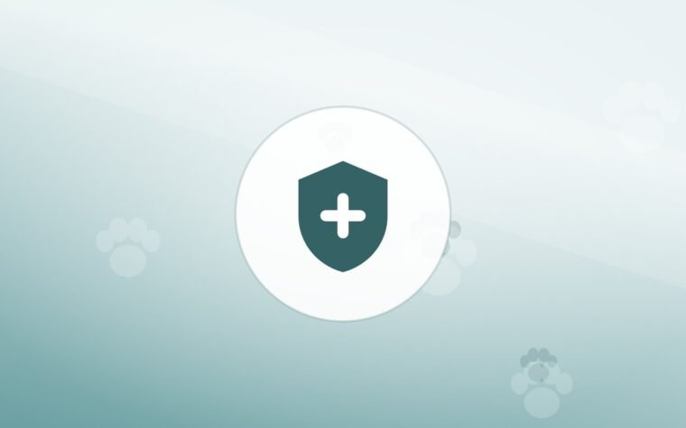 Illustration of a shield on a warm background