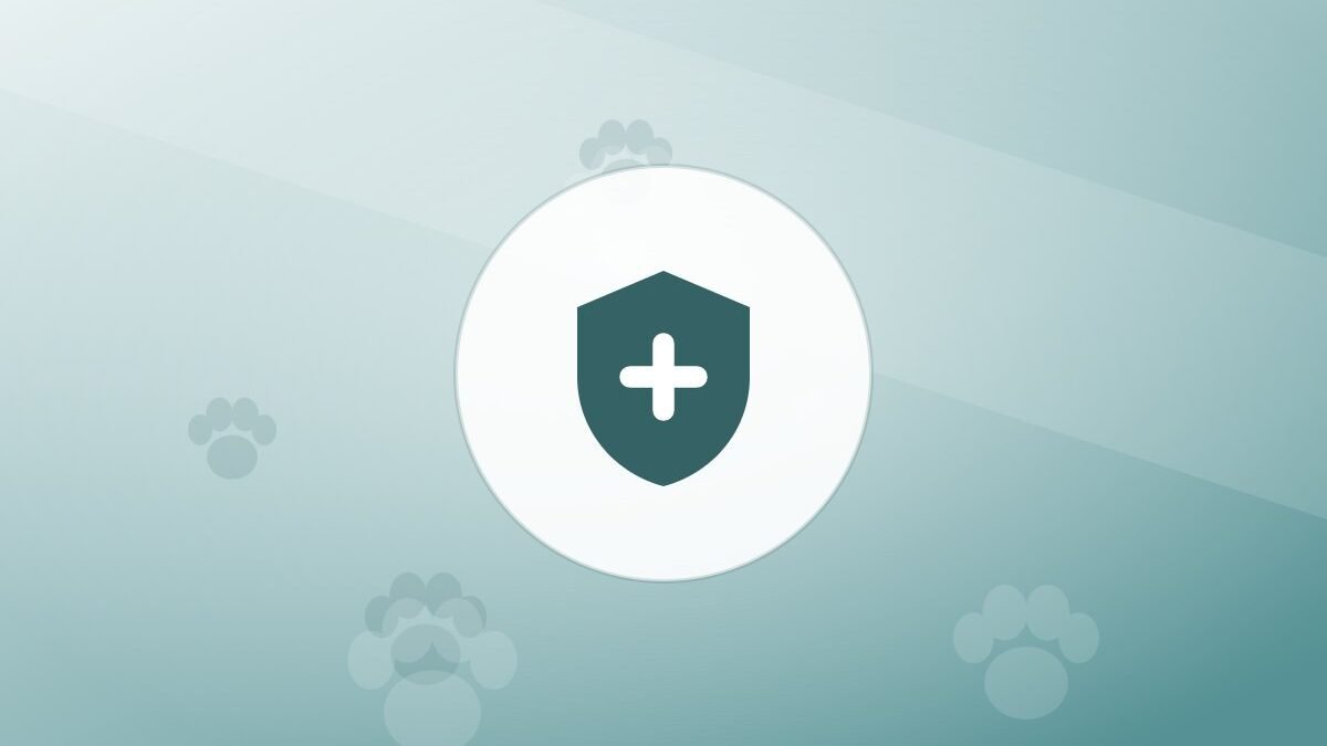 Illustration of a shield on a warm background
