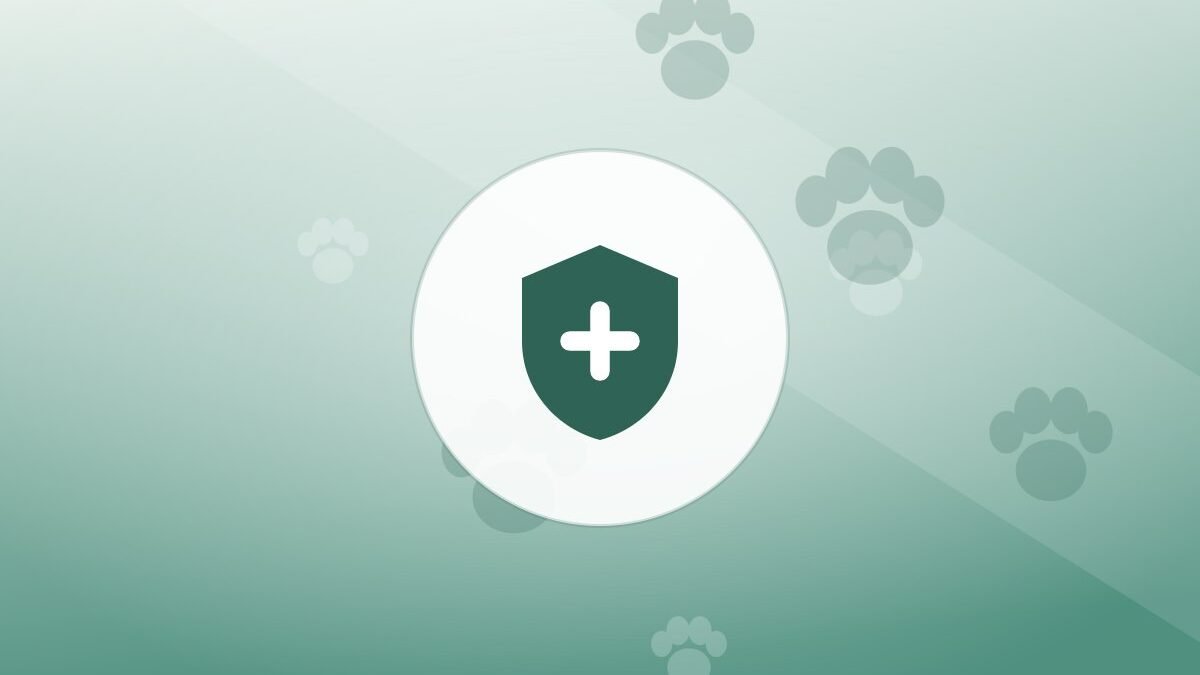 Illustration of a shield on a warm background